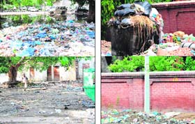 Two days after Amritsar Tribune highlighted the premises of Guru Nanak Dev Hospital which had become a dumpyard with biowaste, the Amritsar Municipal Corporation swung into action and conducted a special drive to clean it up