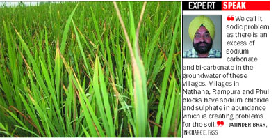Too much of sodium chloride and sulphate in the groundwater is affecting the paddy crop in the district.