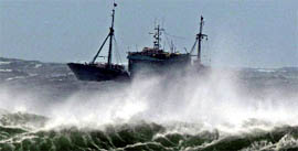 A fishing boat navigates rough sea caused by Typhoon Bolaven in the waters off Seogwipo.