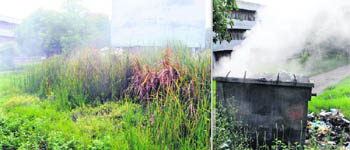 Wild growth and stagnant water surround the gynaecology ward; and (right) garbage and bio-waste set on fire in a bin on the premises of the ESI Hospital in Amritsar. 