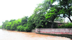 The stretch along the Upper Bari Doab Canal where the Environment Park is proposed to be established in Amritsar.