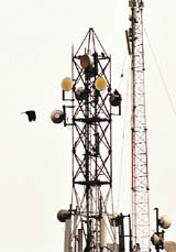 A cellular tower in New Delhi.