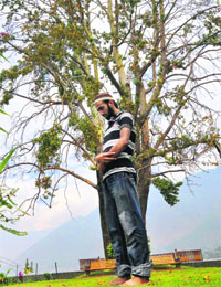 A youth offers namaz under a chinar tree in Srinagar on Friday.