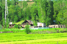 Structures have come up illegally on shrinking agricultural land in Kupwara of north Kashmir. 