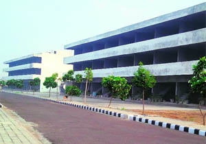 SCOs awaiting occupants for more than two years in Soma Township in Fatehabad. 