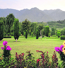 A view of Srinagar Botanical Garden