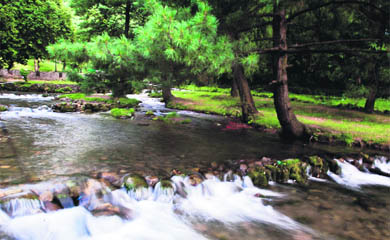 A view of Kokranag garden located about 70 km south of Srinagar.  Kokernag is the largest fresh water spring of Kashmir and its water has many curative and digestive properties. 