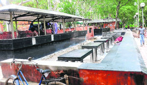 The Night Food Street in Sector 14, Chandigarh