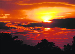 A view of a sunset in Karnal. 