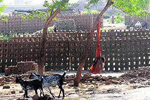 A child enjoys on a swing at a brick-kiln in Karnal