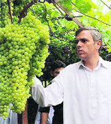 Chief Minister Omar Abdullah inspects a bunch of grapes while reviewing the development of agriculture and horticulture sectors in Ganderbal, near Srinagar, on Thursday.