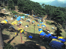 A view of nomads tents and their cattle near the Patnitop-Sanasar road in Batote.