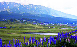 A picturesque view of the Gulmarg Golf Course in Baramulla district