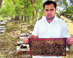 Pardeep Kumar shows a bee box.