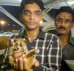Officials with a rescued monkey.