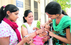 A child being administered polio drops in Jalandhar on Sunday. 