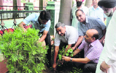 Residents of Trikuta Nagar plant saplings during a plantation drive at Shiv Mandir in Jammu on Sunday.