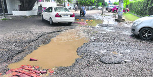 Stagnant sewage in the Bhai Randhir Singh Nagar area on Sunday.