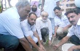 BFGI chairman Gurmeet Singh Dhaliwal and municipal councillor Iqbal Singh Dhillon planting a sapling in Bathinda on Monday.