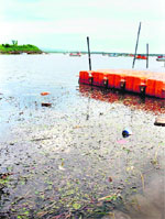 Weeds dot the Sukhna Lake in Chandigarh. 