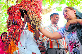 Devotees pay obeisance at a holy tree at Jyotisar in Kurukshetra. 