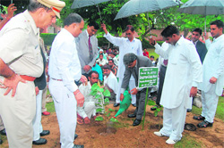 Justice AG Masih plants a sapling while prisoners provide him and other judges umbrella cover in the District Jail in Sirsa.