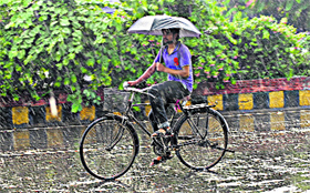 A cyclist uses an umbrella as rain lashes Jalandhar on Monday. Rain in the afternoon provided some relief to residents from heat.