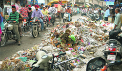 Heaps of garbage in several busy commercial hubs and residential areas in Ludhiana are a health hazard. Tribune photo: Himanshu Mahajan