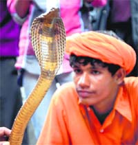 A snake charmer with a snake outside a temple in Shimla. 