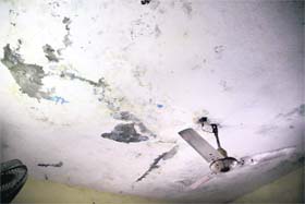 Damp roof of the government civil dispensary at Bhargo Camp in Jalandhar