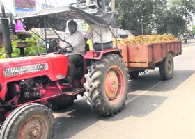 A tractor trailer loaded with uncovered soil plying on the Ladowali Road near DAC complex in Jalandhar