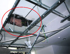  A portion of the false ceiling (encircled) gave way in the labour room of the General Hospital, Sector 6, Panchkula, on Wednesday. 