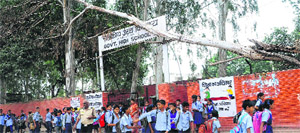 A tree that fell in April (in picture) at Government Model High School, Kajheri, was removed on Tuesday evening. 