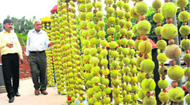 Nek Chand, creator of Rock Garden, walks past the entance to the CLTA courts. The gate has been decorated with tennis balls