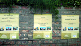 Posters on a wall of the Baba Farid University of Health Sciences in Faridkot inviting students to study MBBS in Europe at highly subsidised fees.