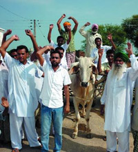 Farmers took out a protest march on bullock carts against the hike in the price of diesel at Rama in Bathinda district on Friday. 