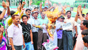 BJP workers burn an effigy of the Centre in protest against the hike in the price of diesel and fixing the quota of LPG cylinder in Haridwar on Friday.