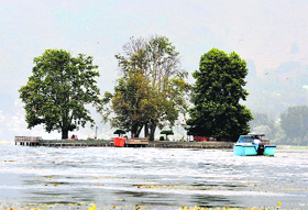 A view of the Char Chinar spot on the Dal Lake in Srinagar. 