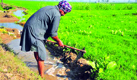 Offenders to be booked under Section 7 of the Punjab Village Common Lands Regulation) Act 1961