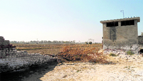 The collapsed boundary wall of a government school in Muktsar district.