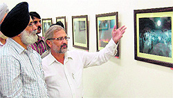 Visitors take a look at paintings during an exhibition at Art Gallery in Amritsar on Saturday