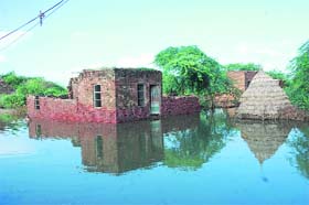 A rainwater puddle near a house in Asan village of Rohtak district after a recent downpour