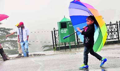 A child holds an umbrella during heavy rain in Shimla.