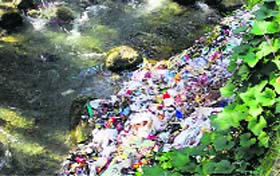 The above photograph reflects the hospital waste thrown in one of the streams in Palampur.