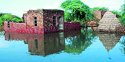 A rainwater puddle near a house in Asan village of Rohtak district after a recent downpour