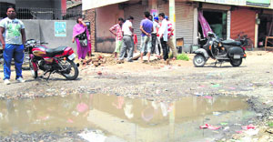 Sewage accumulated at Rajan Nagar in the Jalandhar (West) constituency, represented by Local Bodies Minister Bhagat Chunni Lal.