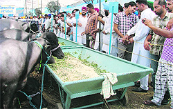 Visitors turnout in huge numbers at an animal husbandry fair in Guru Angad Dev Veterinary and Animal Sciences University, Ludhiana, on Friday