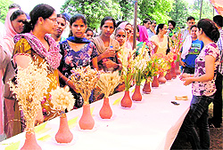 Flowers put up on display during the Kisan Mela at Punjab Agricultural University in Ludhiana on Friday