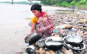 No regard for sanctity: A woman cleans utensils on the banks of the Ganga in Haridwar on Saturday