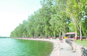 A view of the lakeside during daytime. 